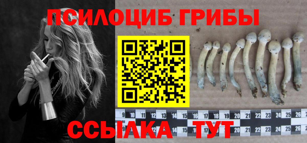 Новотроицк  Галлюциногенные грибы Magic Shrooms  Вход с VPN 