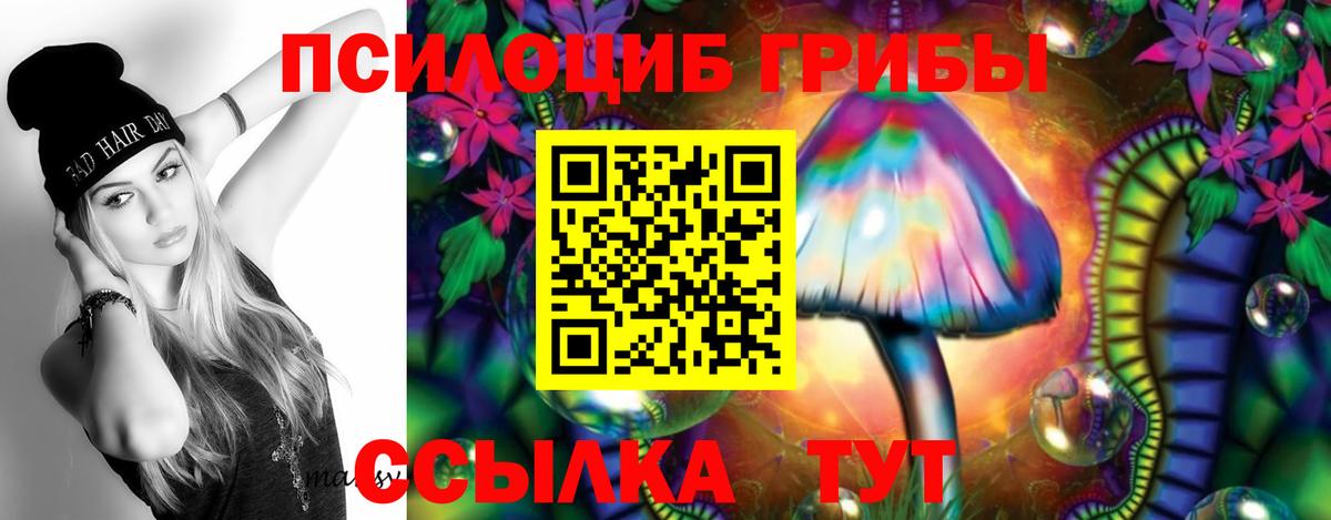 Псилоцибиновые грибы мицелий Новотроицк